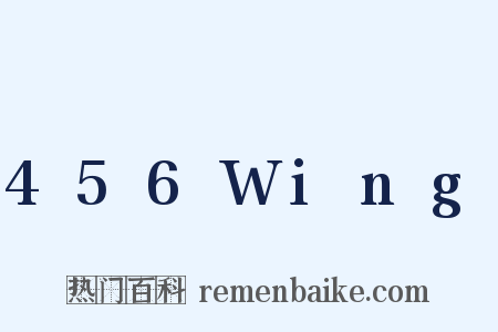 456Wing是什么意思的图片